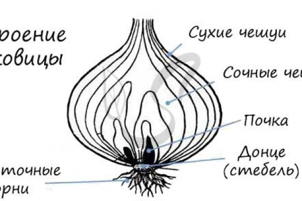 Bs gl ссылка на сайт blacksprut wiki